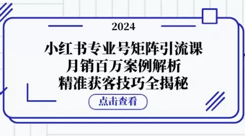 小红书专业号矩阵引流课，月销百万案例解析，精准获客技巧全揭秘_码小屋